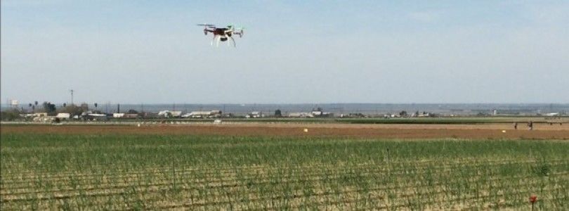 Los drones en la agricultura serán uno de los mayores negocios en los próximos años