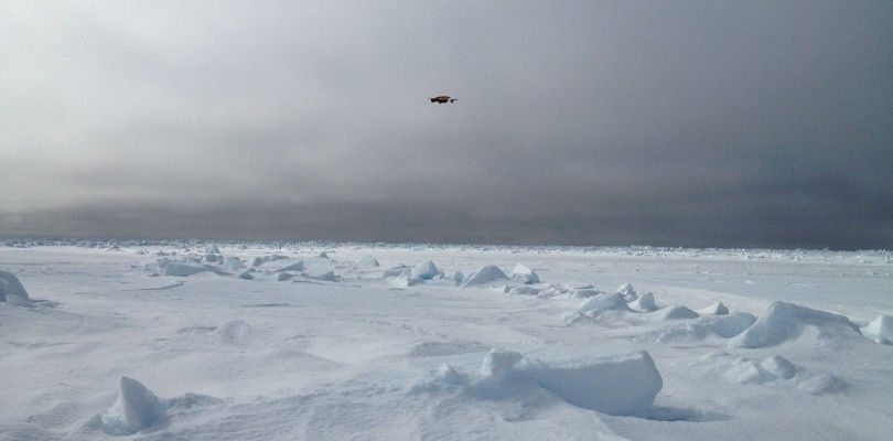 Nuevo dron para controlar el cambio climático en el ártico