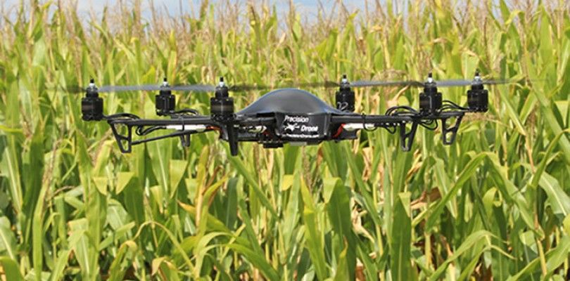 Los drones reducen costes a los granjeros en Florida