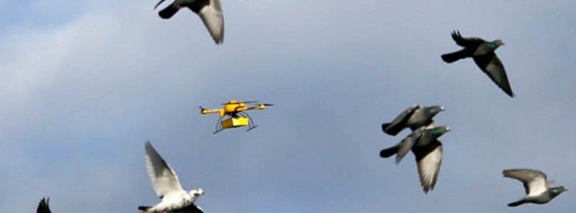 La India podría permitir la paquetería por medio de drones antes que los Estados Unidos