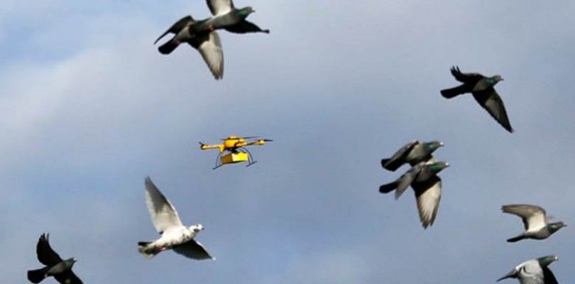 La India podría permitir la paquetería por medio de drones antes que los Estados Unidos