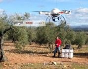 Tecnología española para medir área, altura y volumen de los árboles