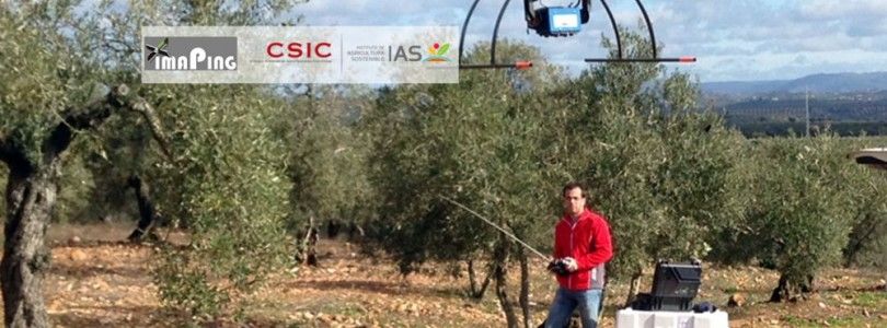 Tecnología española para medir área, altura y volumen de los árboles