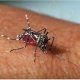China utiliza drones para combatir el dengue