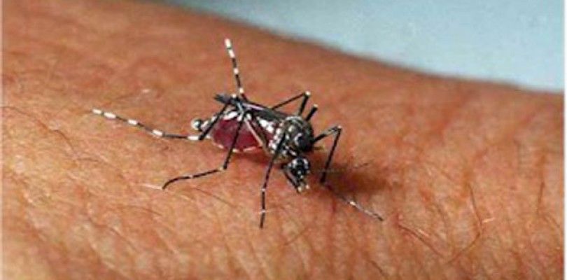 China utiliza drones para combatir el dengue