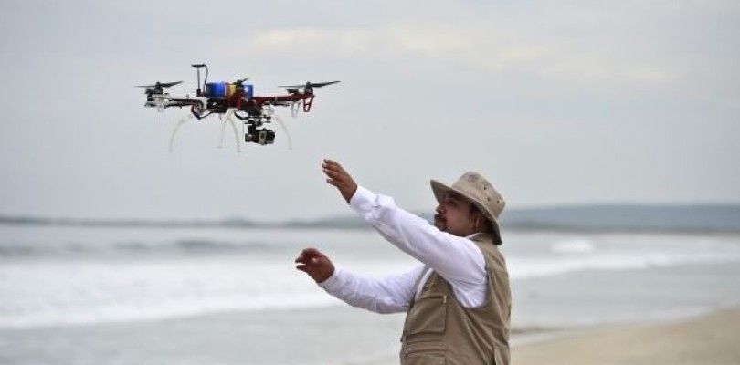 Usan drones para salvar tortugas marinas