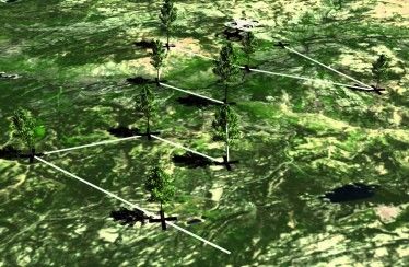 Una empresa pretende plantar 1.000 millones de árboles con los drones