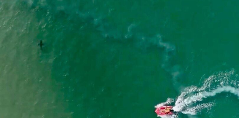 Los drones están desempeñando un papel crucial en los esfuerzos de Australia para combatir los ataques de tiburones y salvar vidas.