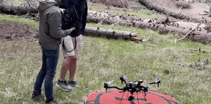 Inspección innovadora con drones completada en el Árbol General Sherman.